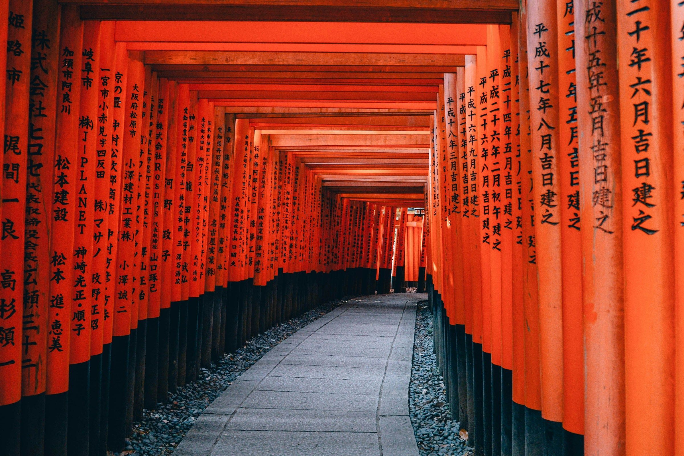 Samurai shadows: 20 beautiful english words with timeless meanings